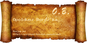 Opoldusz Boróka névjegykártya